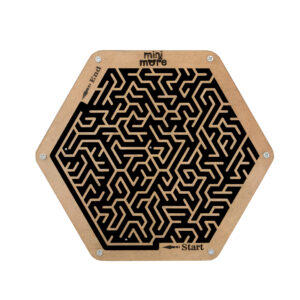 Hexagon Maze Puzzle